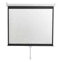 Экран Digis Optimal-D , 308х229 см, 4:3, настенно-потолочный DSOD-4306