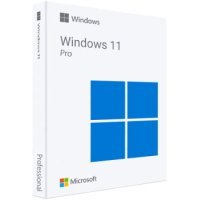 Право на использование OEM Microsoft Windows 11 Pro 64Bit Russian 1pk DSP OEI DVD