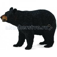 Фигурка животного Американский медведь Американский чёрный медведь