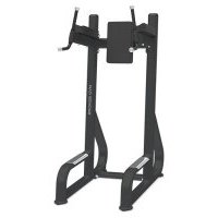 bronze gym BR-1016