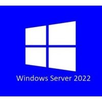 Право на использование OEM Microsoft Windows Svr Std 2022 Russian 1pkDSP OEI 16CrNoMedia/NoKey(POSOnly)AddLic