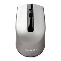 Мышь Wireless Гарнизон GMW-475