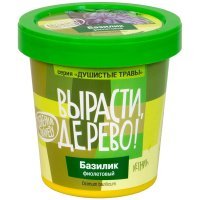 : Базилик фиолетовый 