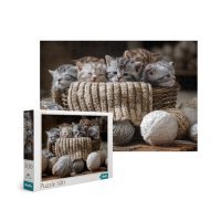 Dodo Пазл Милые котята 500 элементов