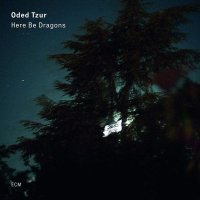 Виниловая пластинка Oded Tzur, Here Be Dragons (0602508474262) 
