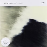 Виниловая пластинка Cohen, Avishai, Into The Silence (0602547600912) 