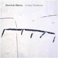 Виниловая пластинка Dominik Wania, Lonely Shadows (0602508895609) 