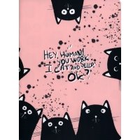 Тетрадь Hey human. Коты, А5+, 48 листов, клетка 