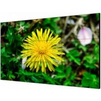 Панель LCD 55' HIKVISION DS-D2055LE-G