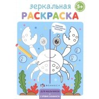 Зеркальная раскраска. Для мальчиков 