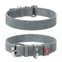 Collar ошейник кожаный Waudog Classic (19-25 см., Серый) 