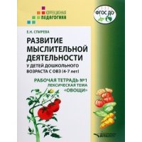 Развитие мыслительной деятельности у детей дошкольного возраста с ОВЗ (4-7 лет). Рабочая тетрадь № 1 