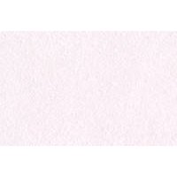 Чернила на спиртовой основе Sketchmarker 22 мл Цвет Пион