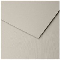 Бумага для пастели Clairefontaine "Ingres" 50x65 см, 130 г металлик 