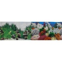 Prime Фон для аквариума двусторонний Морской пейзаж/Подводный рельеф 30х60см(9029/9030) 