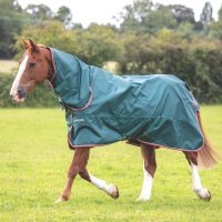 SHIRES TYPHOON Попона прогулочная для лошади с капором "Lite", 840D, 0g, 150, зеленый (Великобритания) 