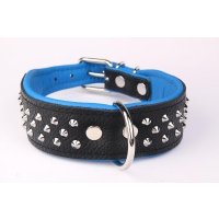 ZOOLESZCZ Ошейник для собак "Studs", черно-голубой, 50х4см 