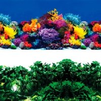 LAGUNA Фон Обитатели рифа/Джунгли д/аквариума 500*1000мм 