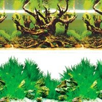 LAGUNA Фон Таинственный лес/Новое утро д/аквариума 300*600мм 