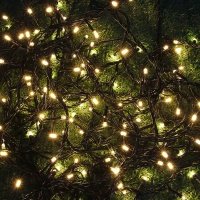 INBLOOM Гирлянда эл. вьюн для сада 198 LED, шампань,12м, пост. свечение, ПВХ, IP44, 220В, 50Гц 