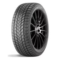 Автомобильные зимние шины LANDSAIL WINTER LANDER 195/45 R16 84H