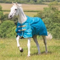 SHIRES HIGHLANDER Попона прогулочная для лошади "Original Lite", 600D, 0g, 150, чирок