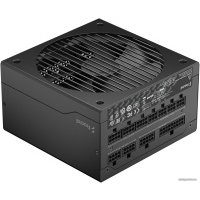 Блок питания Fractal Design ION GOLD 850W (FD-P-IA2G-850) 
