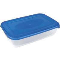 Контейнер для продуктов Plast Team 0,9 л (PT1671/МBMТГ-20)