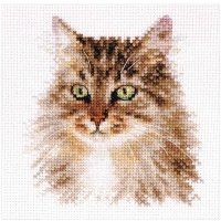 1-35 Сибирская кошка 