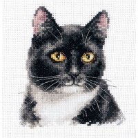 1-37 Черный кот 