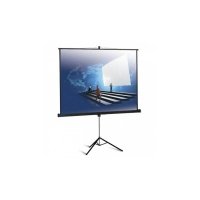 Проекционный экран Classic Gemini (4:3) 153x114 (T 147х108/3 MW-LU/B)