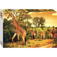 Puzzle-4000 Южноафриканские жирафы 