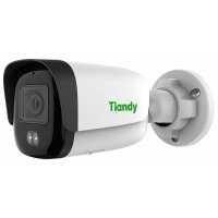Видеокамера TIANDY TC-C32QN I3/E/Y/4mm-V5.0 TC-C32QN (I3/E/Y/4mm/V5.0)