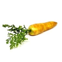 Муляж морковь одиночный Coneko 