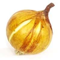 Муляж лук репчатый одиночный Coneko 