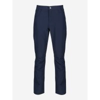 Брюки мужские Regatta Delgado, Синий