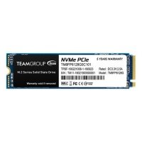 Жесткий диск SSD TEAM GROUP [TM8FP6128G0C101] 
