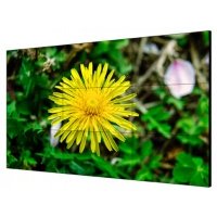 55" LCD Экран, Разрешение 1920х1080; цветность 1.07 млрд; яркость 500кд/м2; контрастность 1400:1; время отклика 8мс; входы: HDMI 1 DVI 1 VGA 1 DP 1 USB 1; выходы :DP 1 HDMI 1; AC100В-240В; 192Вт;-0 C.