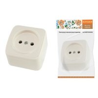 Розетка 2P SQ1824-0020 Дача