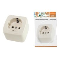 Розетка 2P+PE SQ1824-0021 Дача