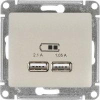 Розетка встраиваемая Schneider Electric Glossa A+A цвет платина 