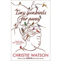 Tiny Sunbirds Far Away 