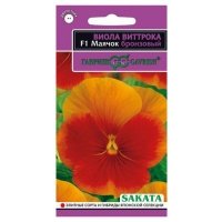 Семена Виола Гавриш Маячок бронзовый F1, 5 шт 