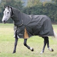 SHIRES HIGHLANDER Попона прогулочная для лошади с капором "Plus Lite", 1200D, 50g, 155 см, зеленый 