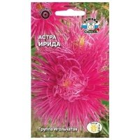 семена Астра Ирида игольчатая насыщенно-розовая 