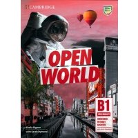 Open World Preliminary. Workbook without Answers with Audio Download 
