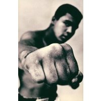 Ali. A Life 