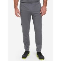 Брюки мужские Demix, Серый