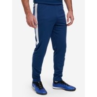 Брюки мужские Demix, Синий