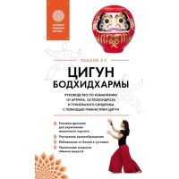 Цигун Бодхидхармы. Руководство по избавлению от артрита, остеохондроза и туннельного синдрома с помощью гимнастики цигун 